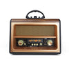 Rediscover Classic Sound with the FOL FR-05 Retro Radio Speaker