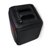 Portable Speaker FS-L1208