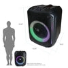 10‘ Party Speaker FS-L1210