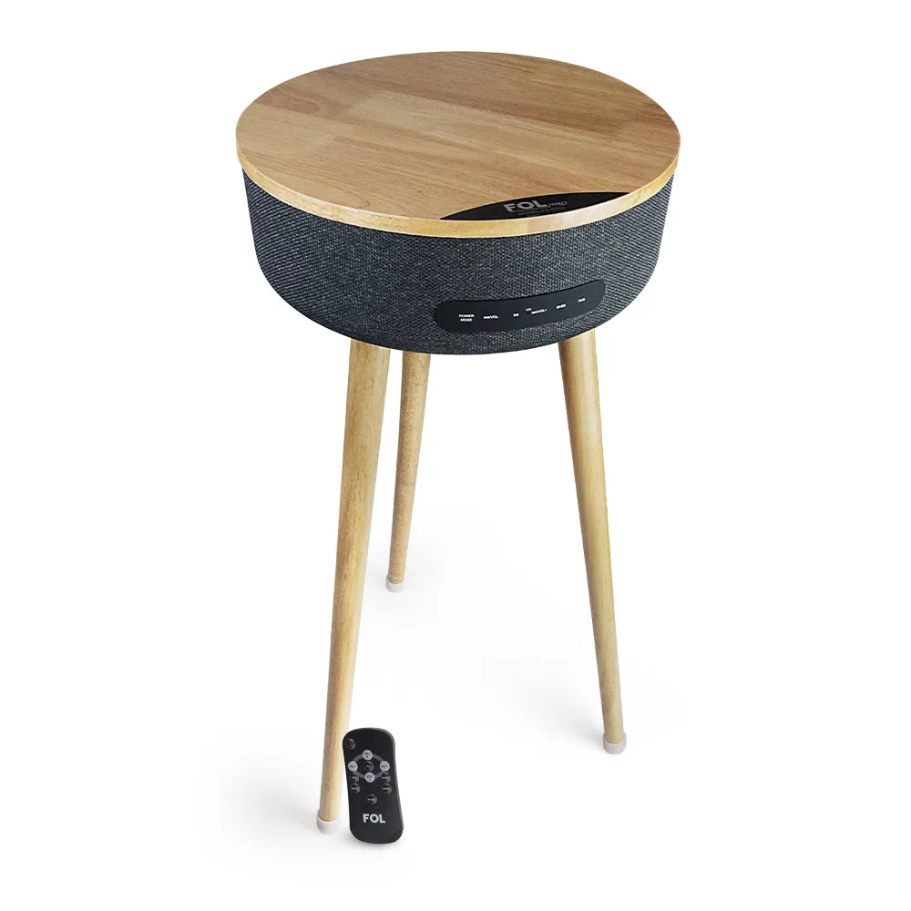 Furniture Speaker FS-R112