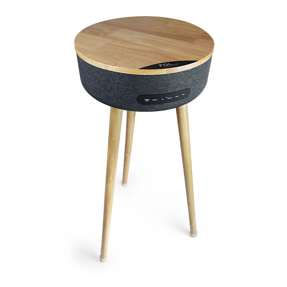 Furniture Speaker FS-R112