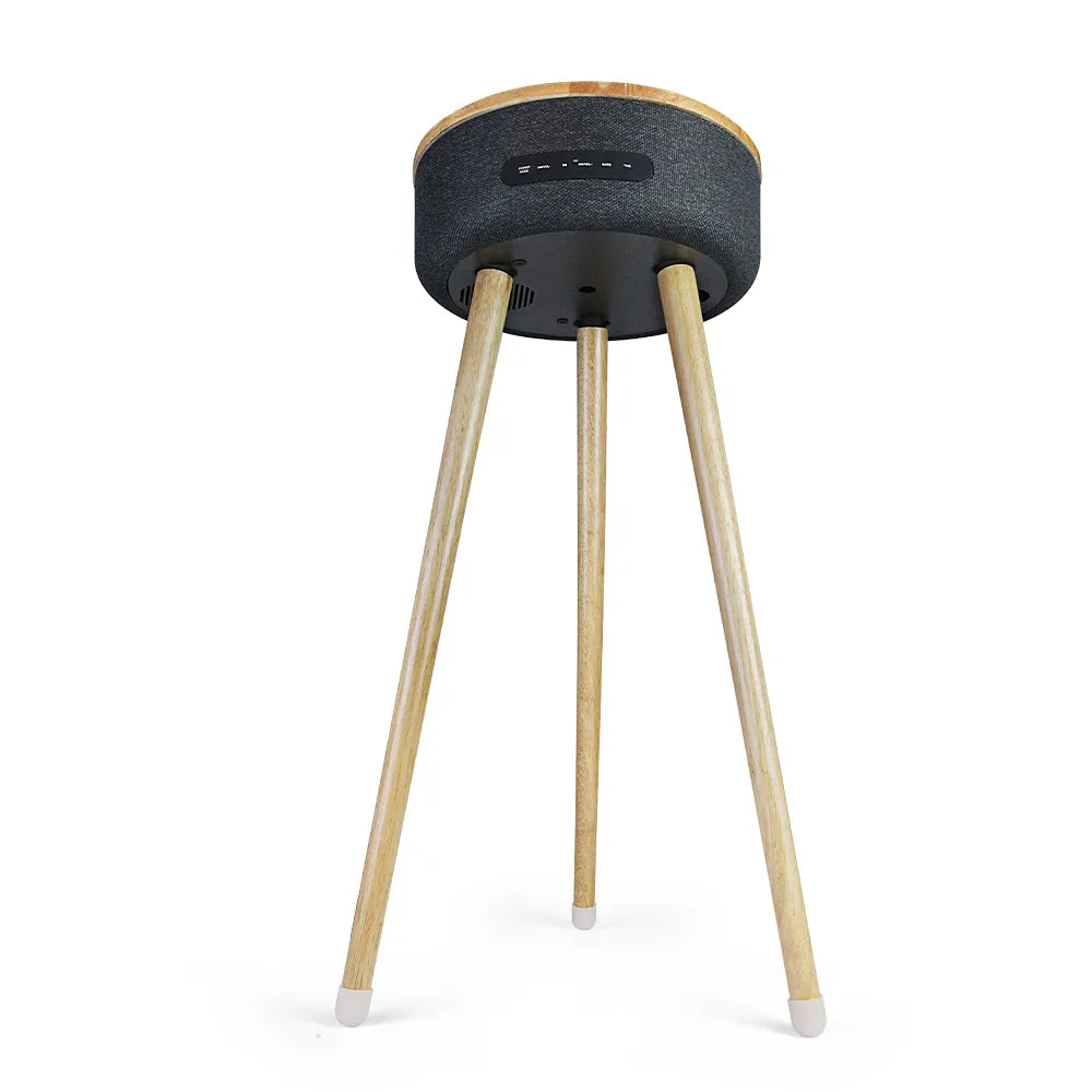 Furniture Speaker FS-R112