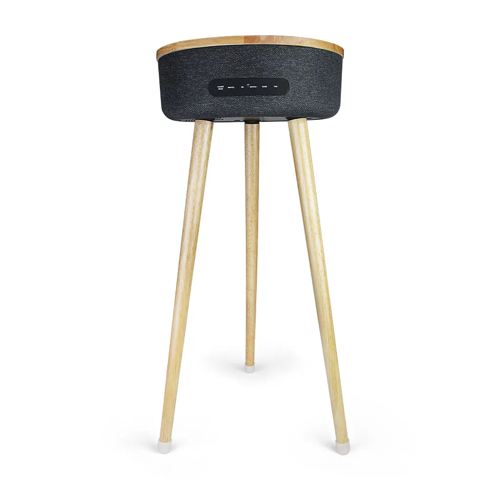 Furniture Speaker FS-R112