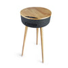 Furniture Speaker FS-R112