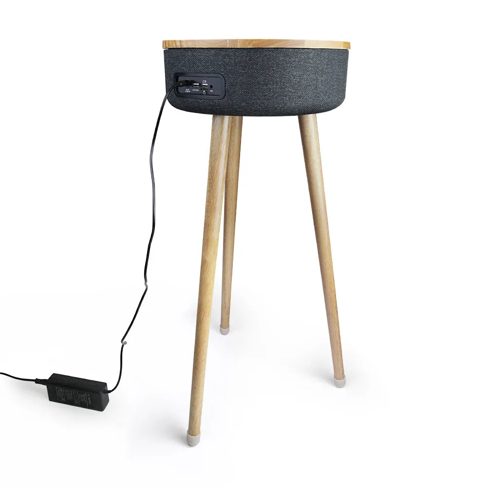 Furniture Speaker FS-R112