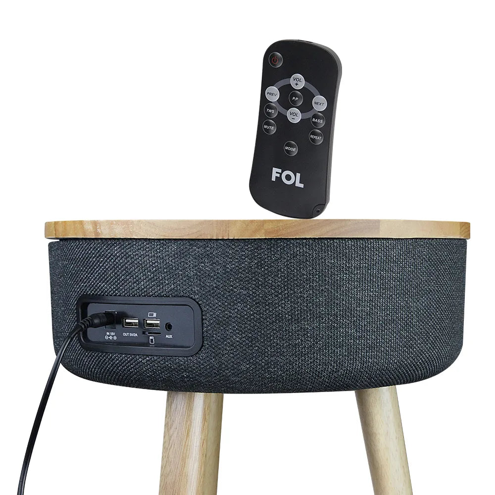 Furniture Speaker FS-R112