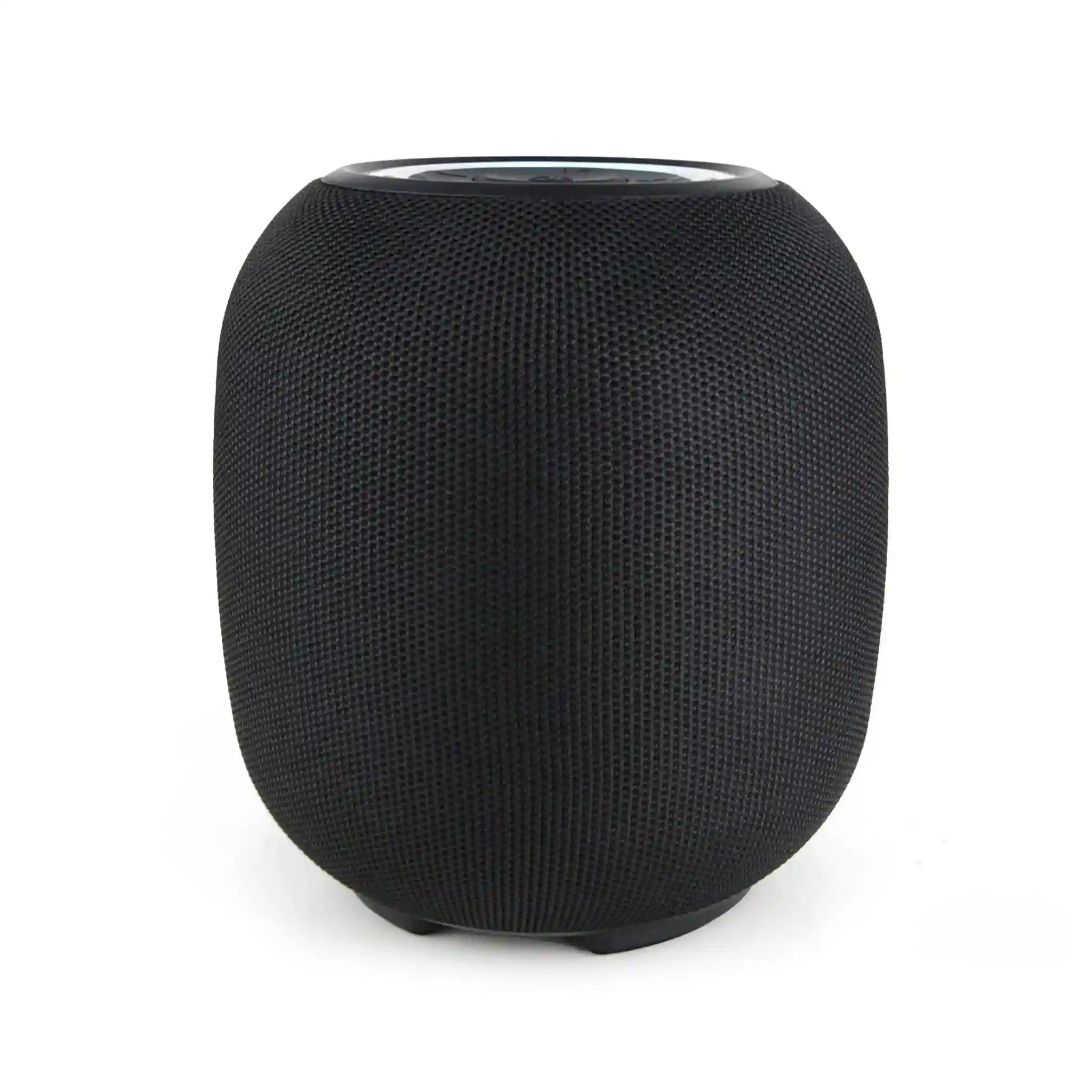 Portable Speaker FS-R118