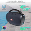 Portable Speaker FS-R213L