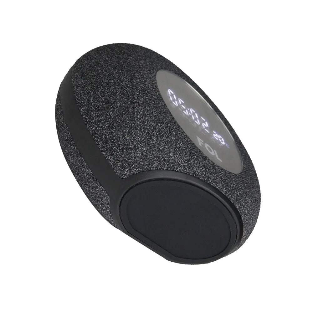Altavoz portátil FS-R216