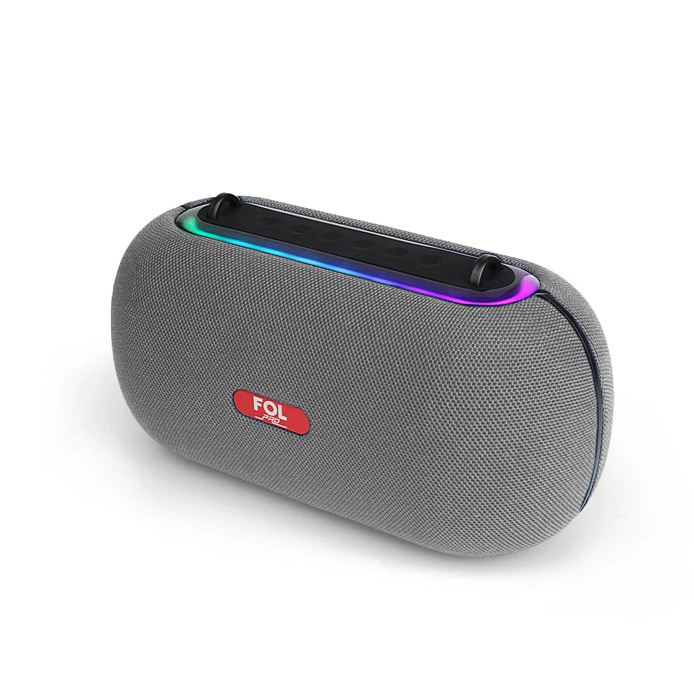 Portable Speaker FS-R317