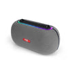 Portable Speaker FS-R317