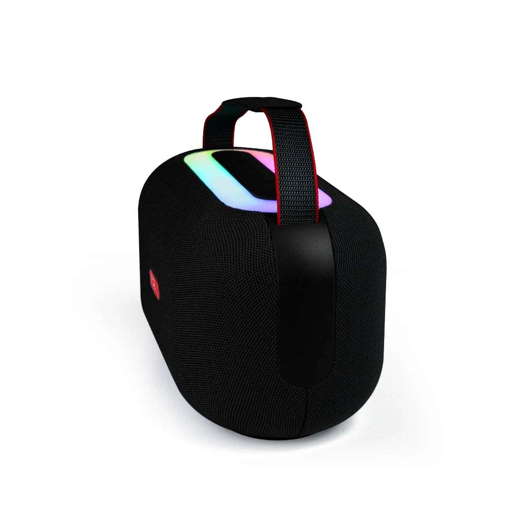 Portable Speaker FS-R318