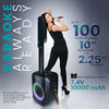 10‘ Party Speaker FS-T868