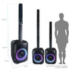 10‘ Party Speaker FS-T868