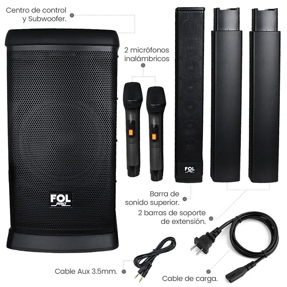 Accessory Overview: Included accessories such as a wireless microphone, remote control, power cord, and audio cable.
