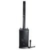 Whole product view, the whole FOL FS-T888 include two bluetooth microphone