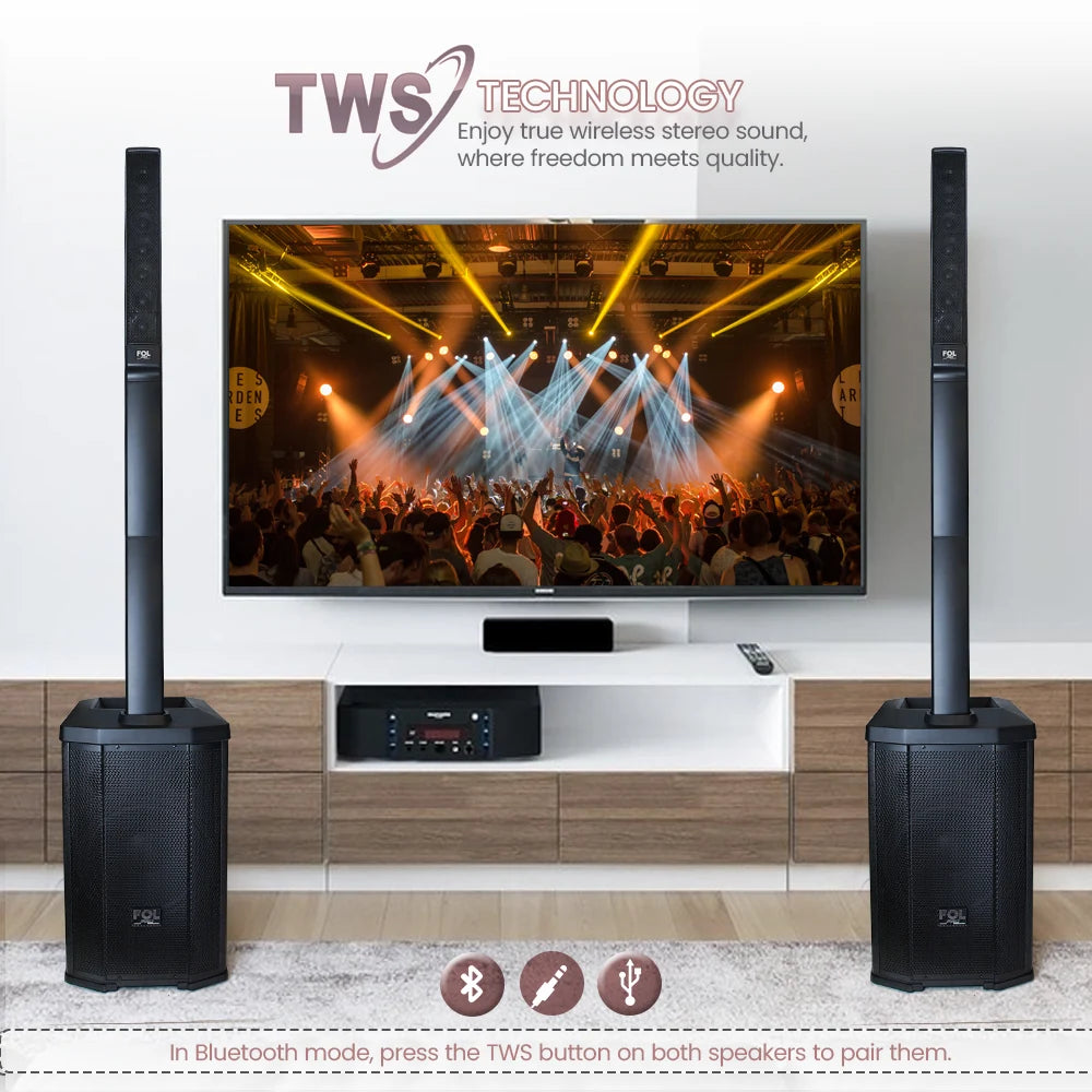 Professional Speaker FS-T900