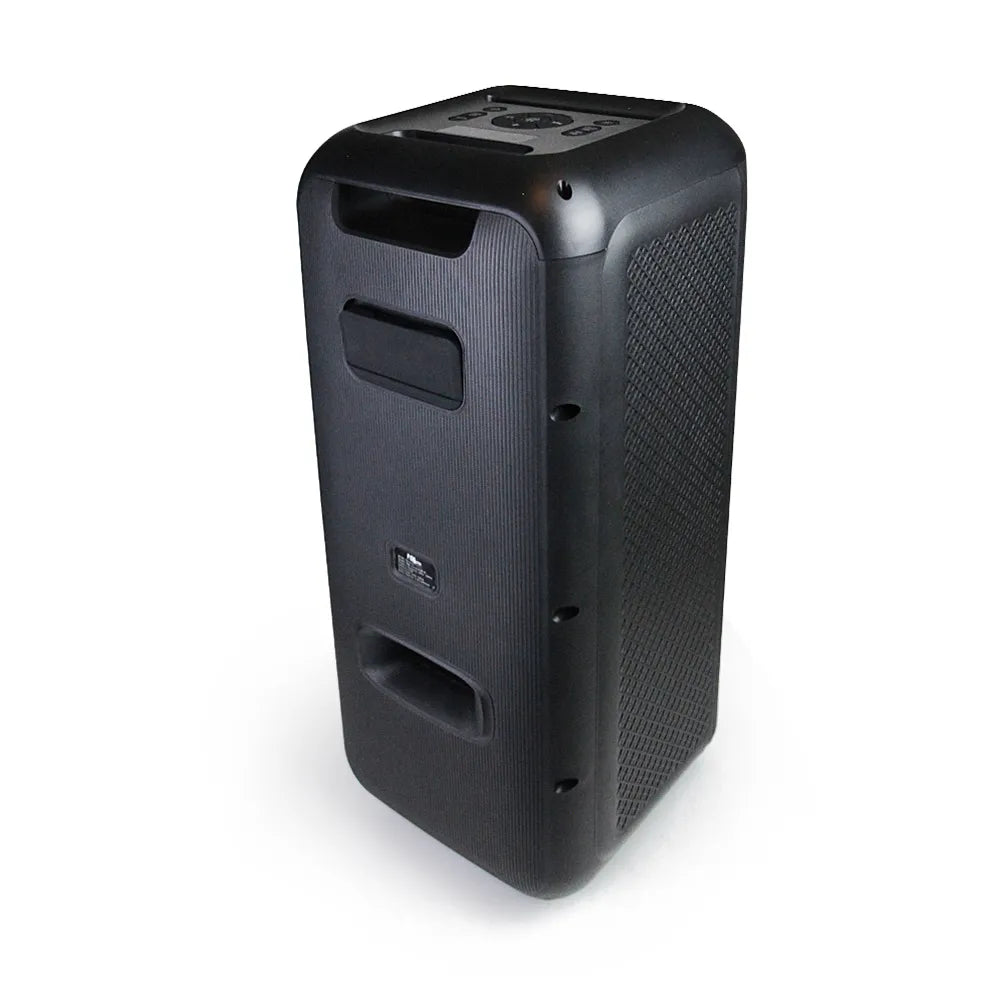 Party Speaker FS-L2206